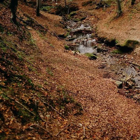 Holiday home Krancowka Dolna Szczyrk