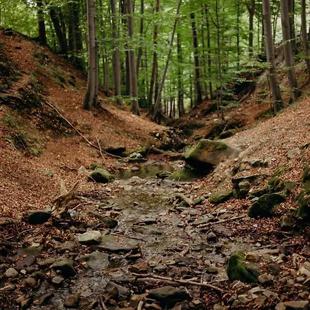 Krancowka Dolna * Szczyrk