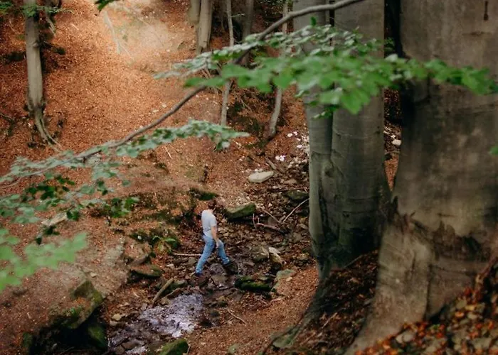 Krancowka Dolna Vakantiehuis Szczyrk