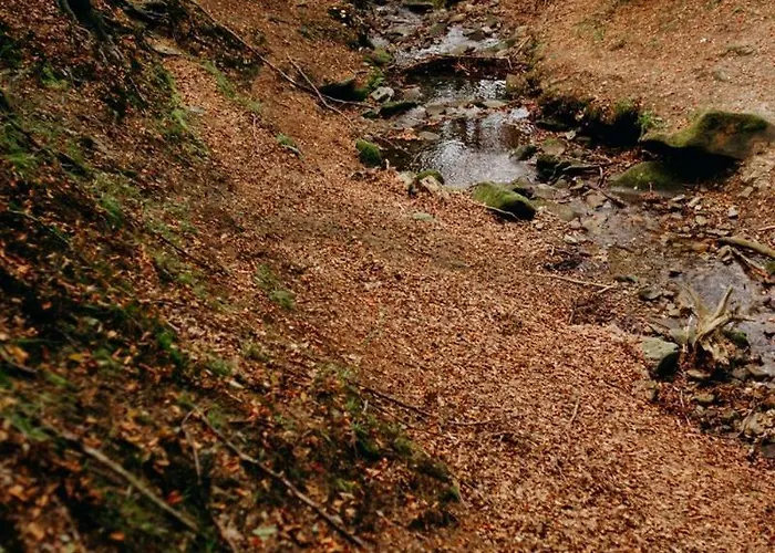 Vakantiehuis Krancowka Dolna Szczyrk