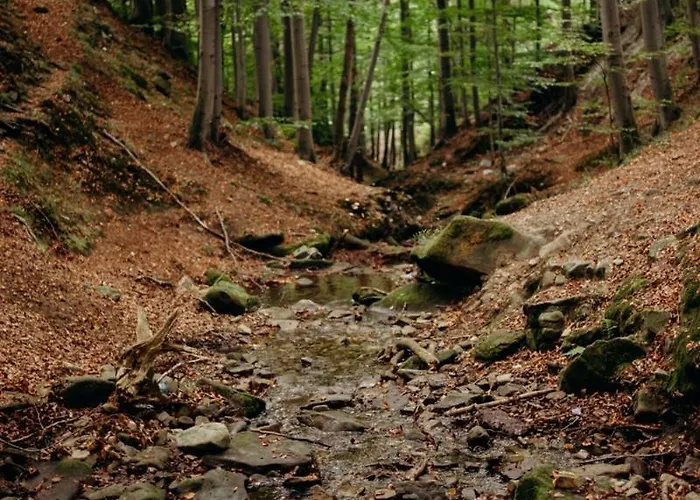 Krancowka Dolna * 슈차이르크